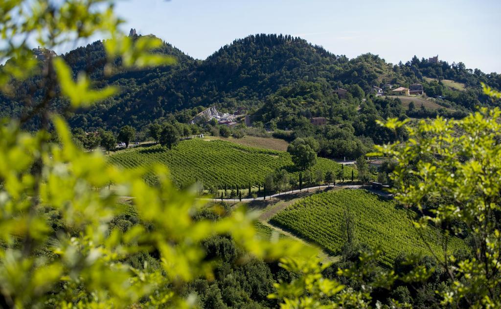 Tenuta Saiano Resort Torriana Exterior foto